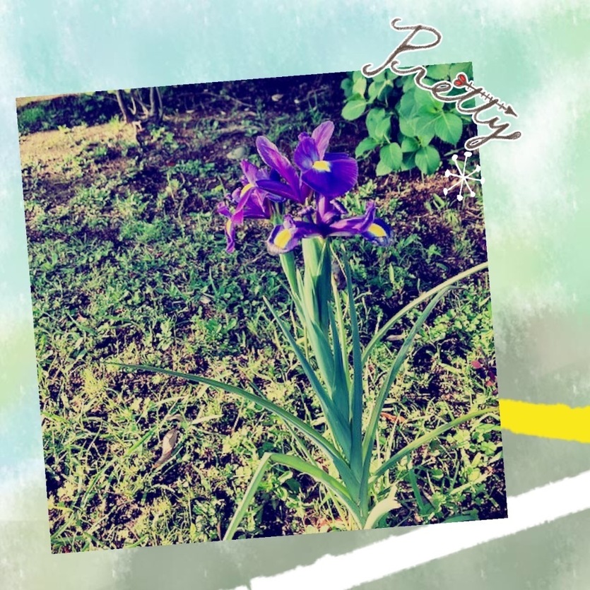 041FA775-E98B-4B95-B8F0-32AFB4180F76.jpeg