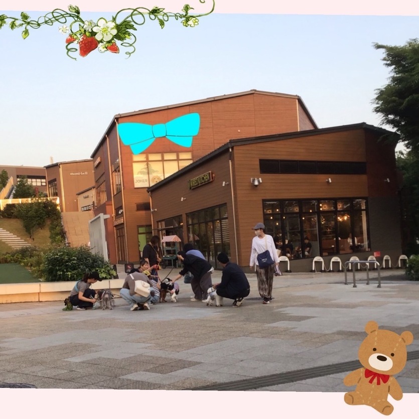 140D3C76-04F8-4A5E-A19E-2F409E692713.jpeg