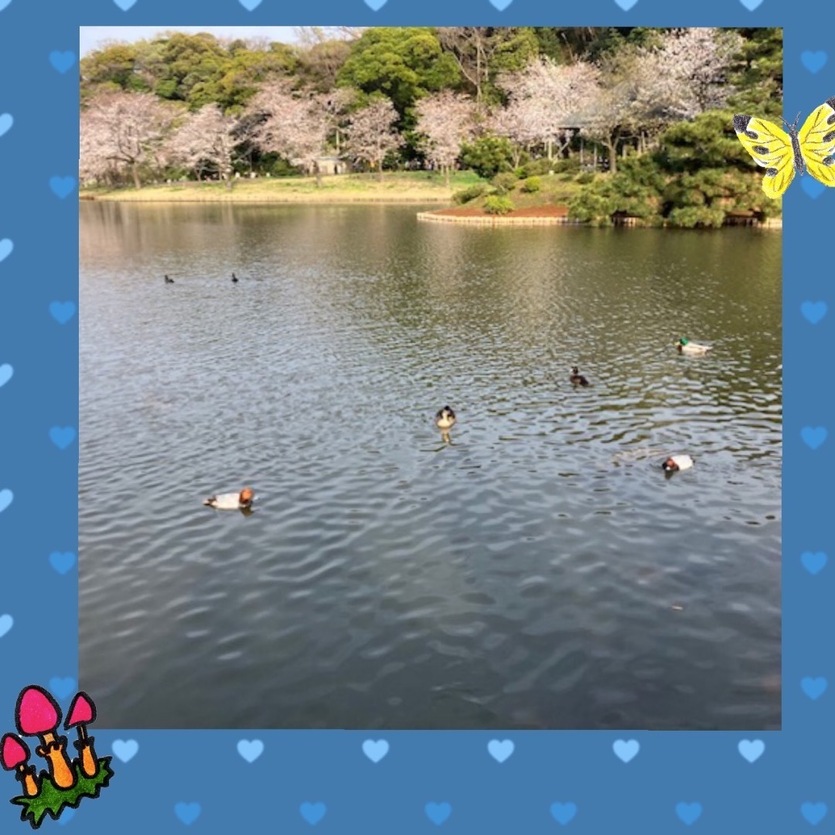 15704BEB-732A-45CC-AE00-BB7A62A07786.jpeg