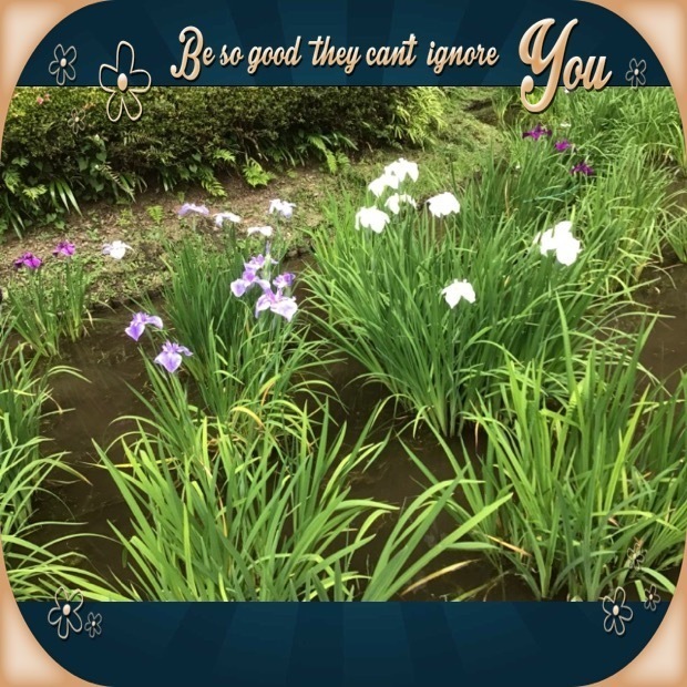 19053DFF-CC9D-4BD9-AB94-28CDE1096CB1.jpeg