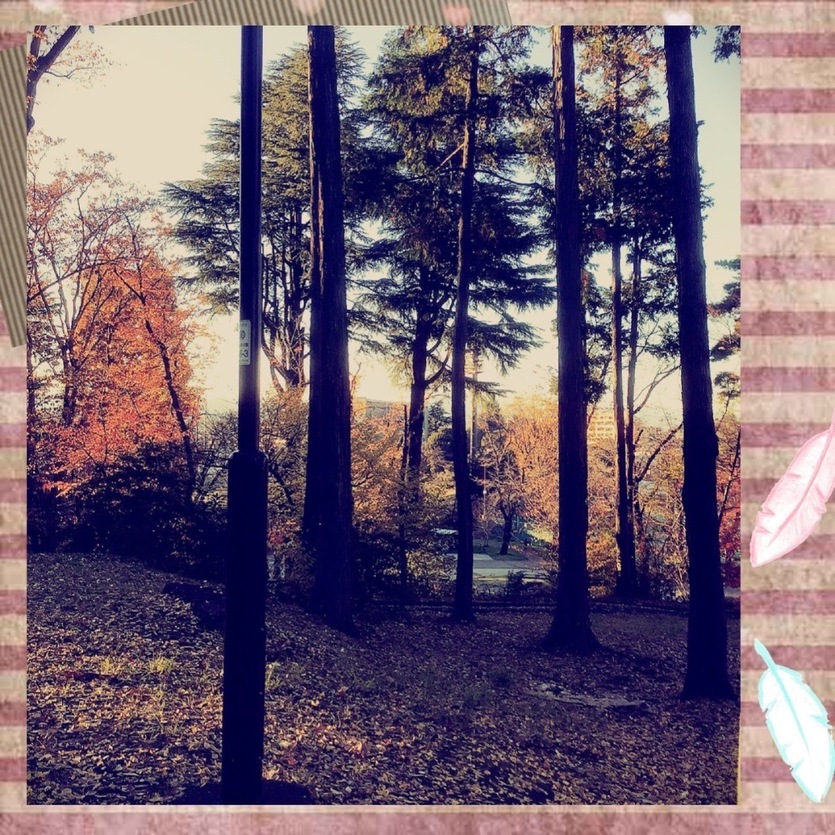 2401EB1E-25D4-47CC-ADD0-611D30806A60.jpeg