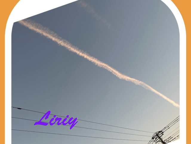 68C25B57-8F5C-44D6-BD67-65146D529D8D.jpg