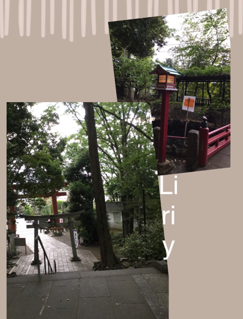 78B082C4-9AAF-4307-B43C-62562EC8CF64.jpg