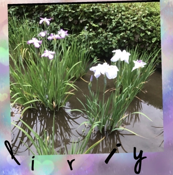 D25299C3-90CB-4256-B82C-7A30169BE35A.jpeg