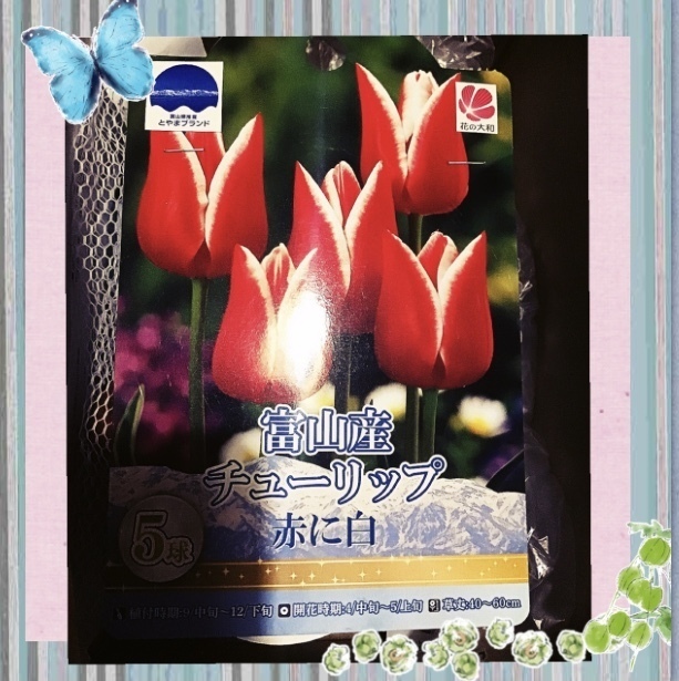 FFAD81A7-7EA0-4B27-99D8-A34D8C811D49.jpeg